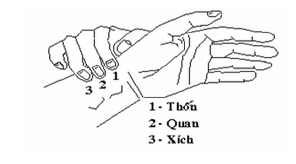 Chẩn đoán bệnh